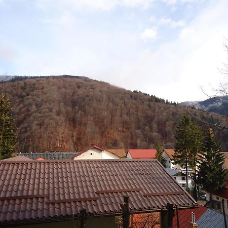 Casa Serban Vila Sinaia Exterior foto