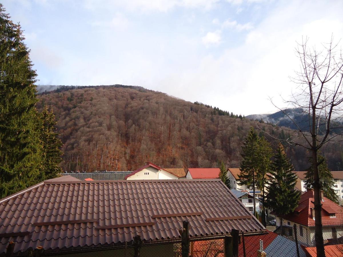 Casa Serban Vila Sinaia Exterior foto