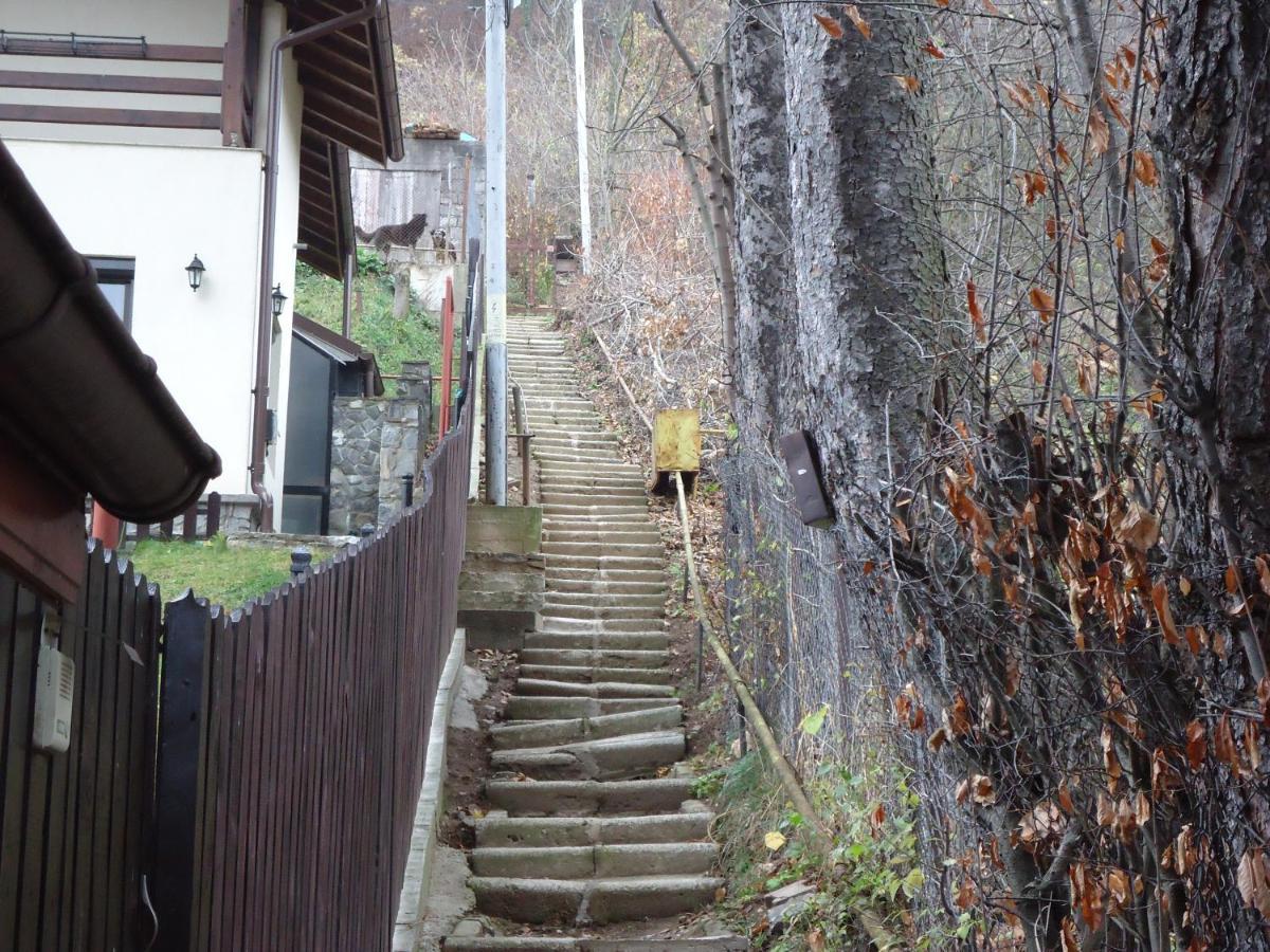 Casa Serban Vila Sinaia Exterior foto