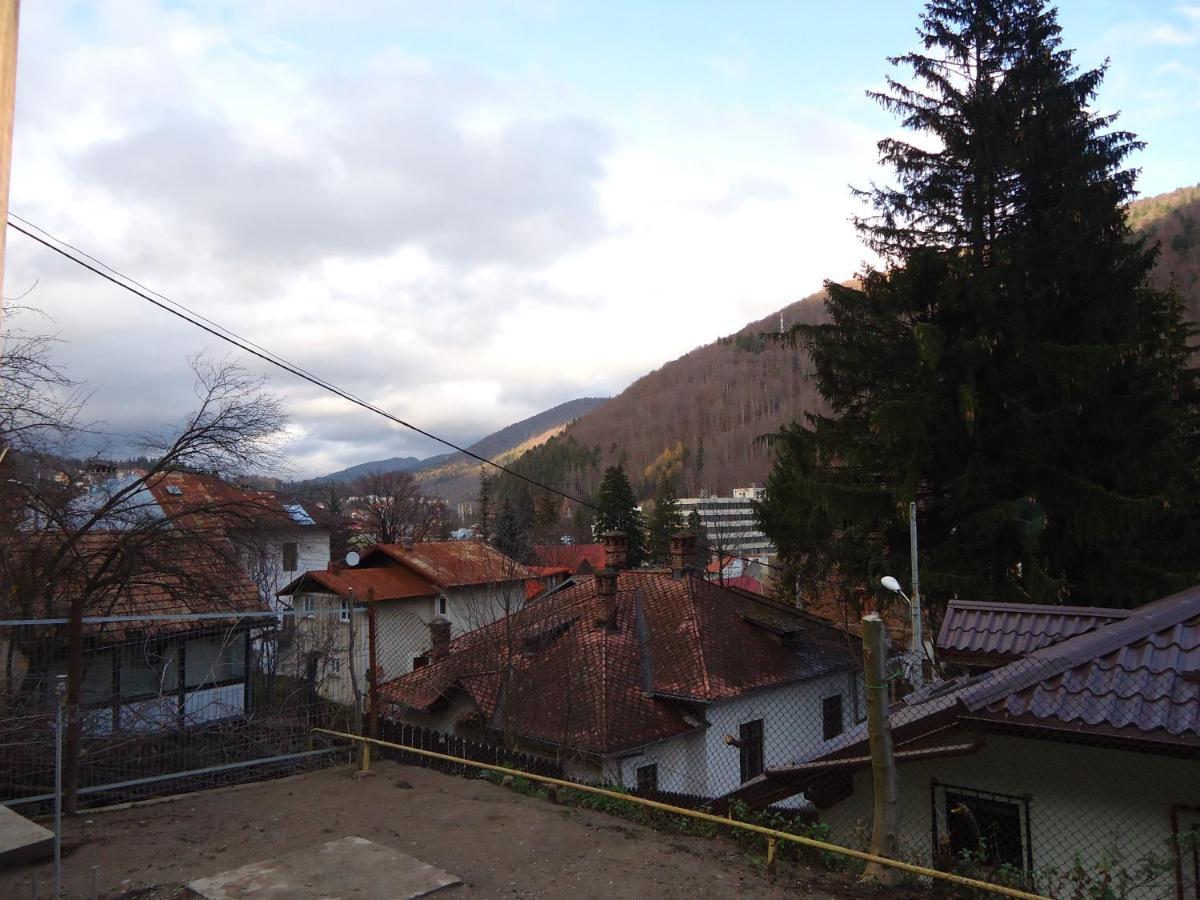 Casa Serban Vila Sinaia Exterior foto