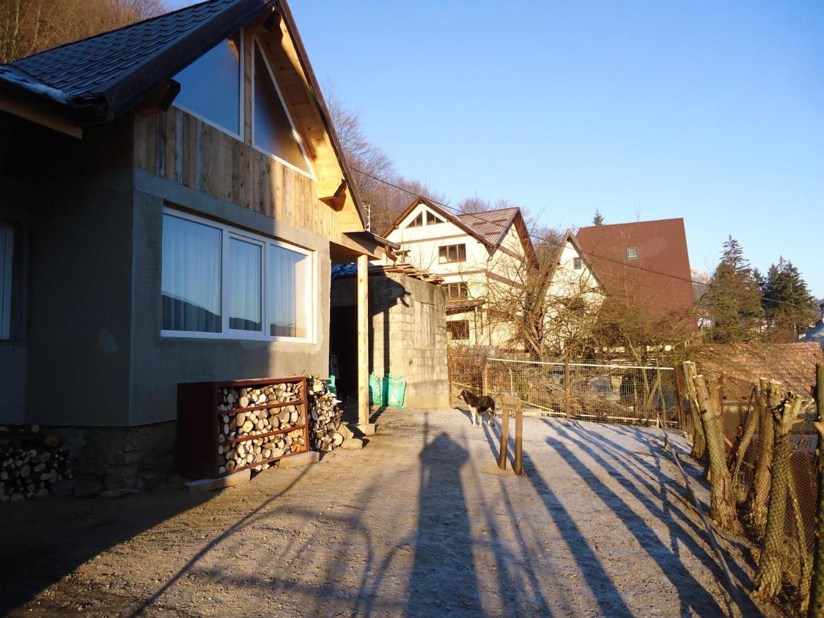 Casa Serban Vila Sinaia Exterior foto