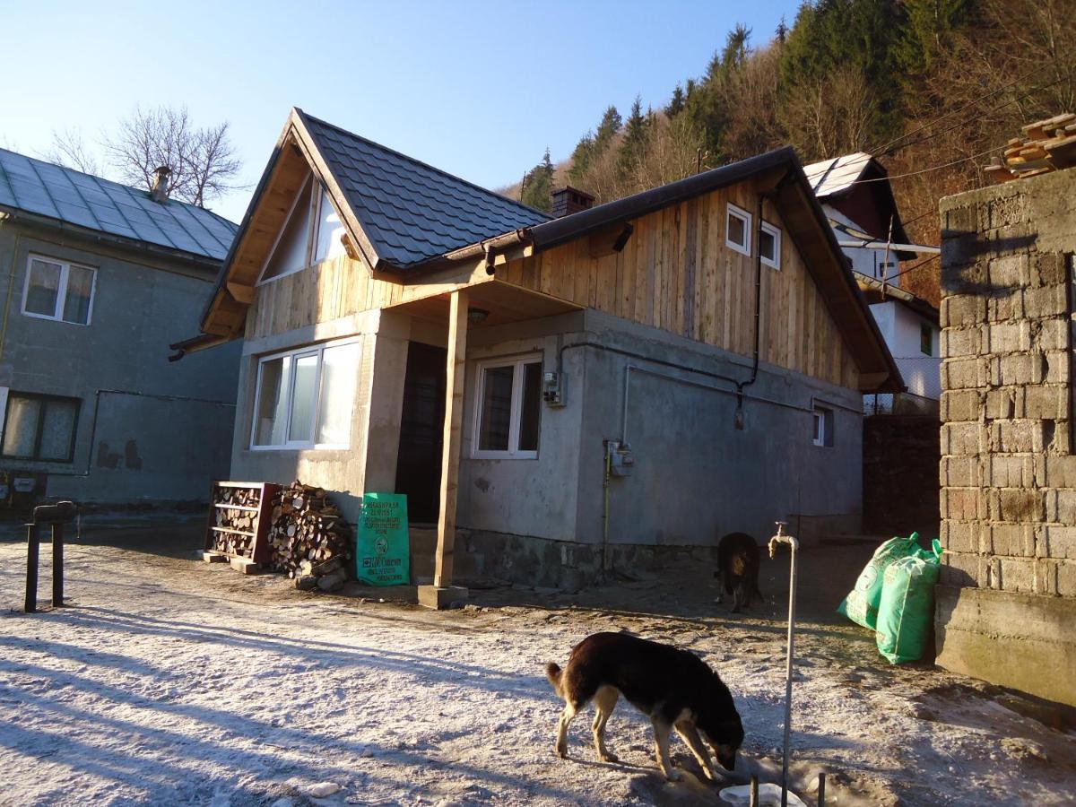 Casa Serban Vila Sinaia Exterior foto