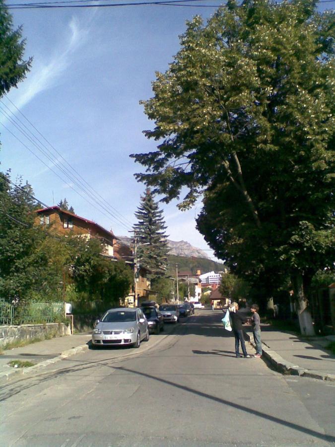 Casa Serban Vila Sinaia Exterior foto