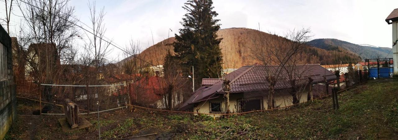 Casa Serban Vila Sinaia Exterior foto