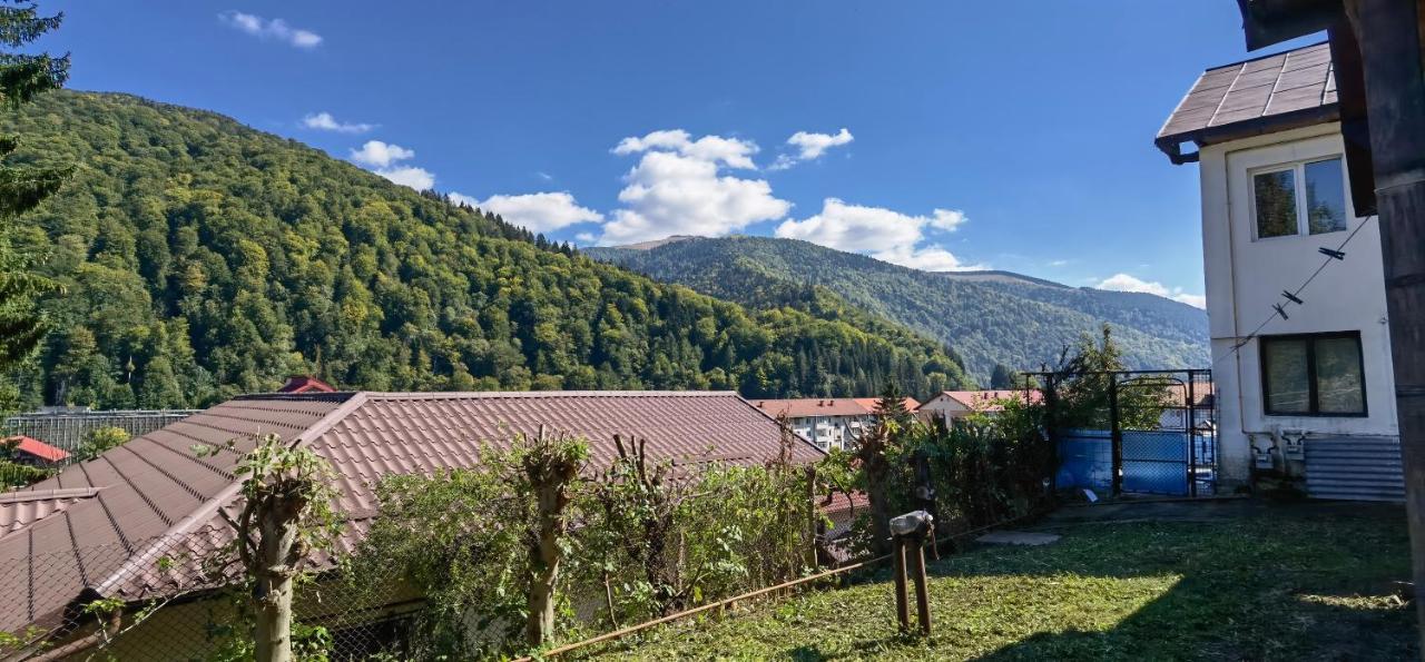 Casa Serban Vila Sinaia Exterior foto