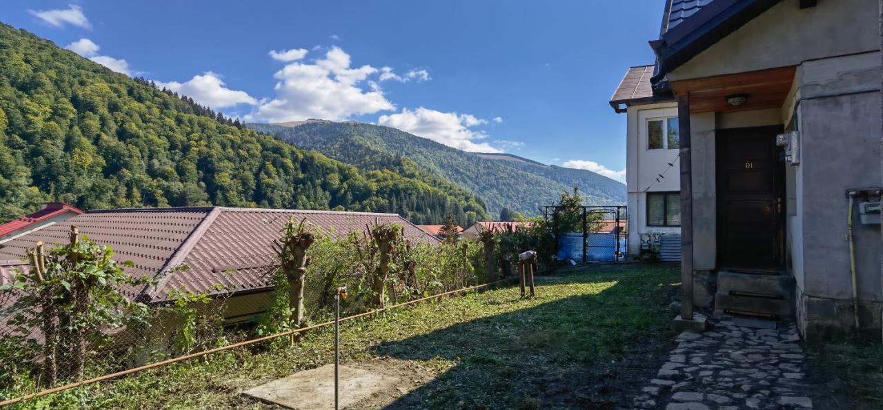 Casa Serban Vila Sinaia Exterior foto